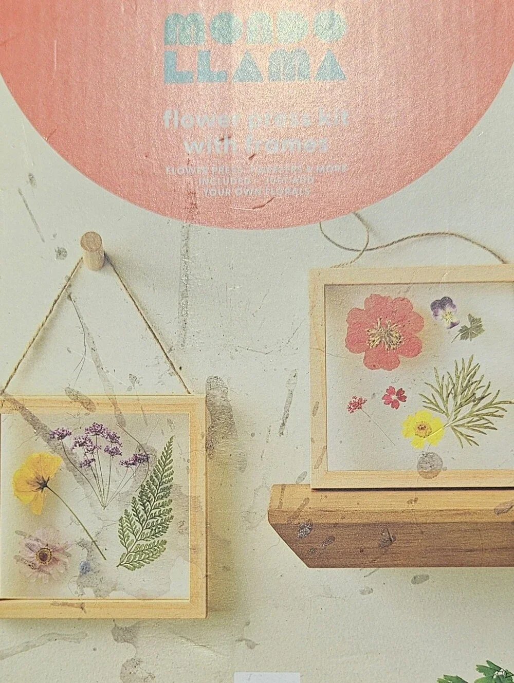 Flower Press Kit with Frames - Orange Brand New